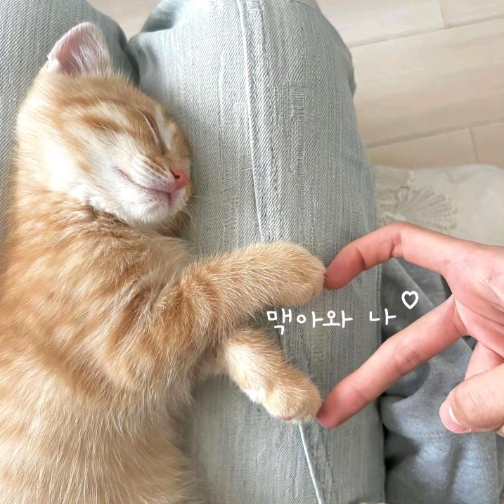 晴晴天