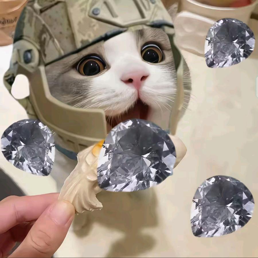 小哆