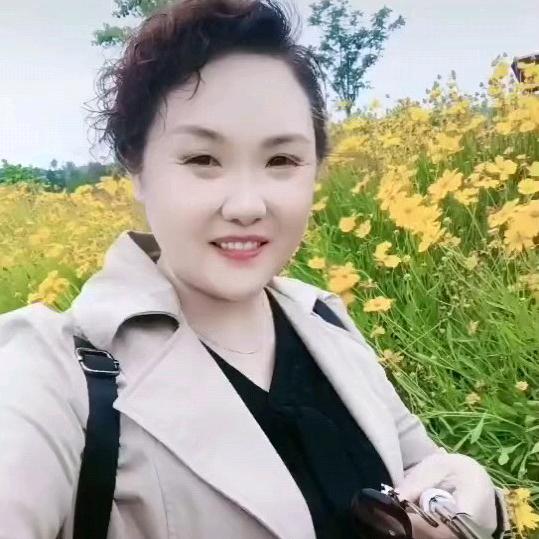 九菊