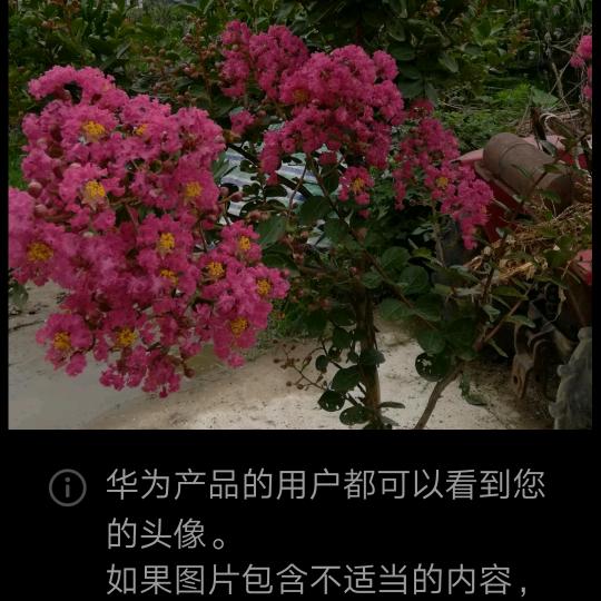 用户4686043745010红红火火