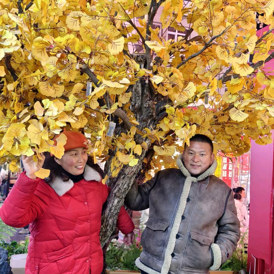 金森板栗，李金贵