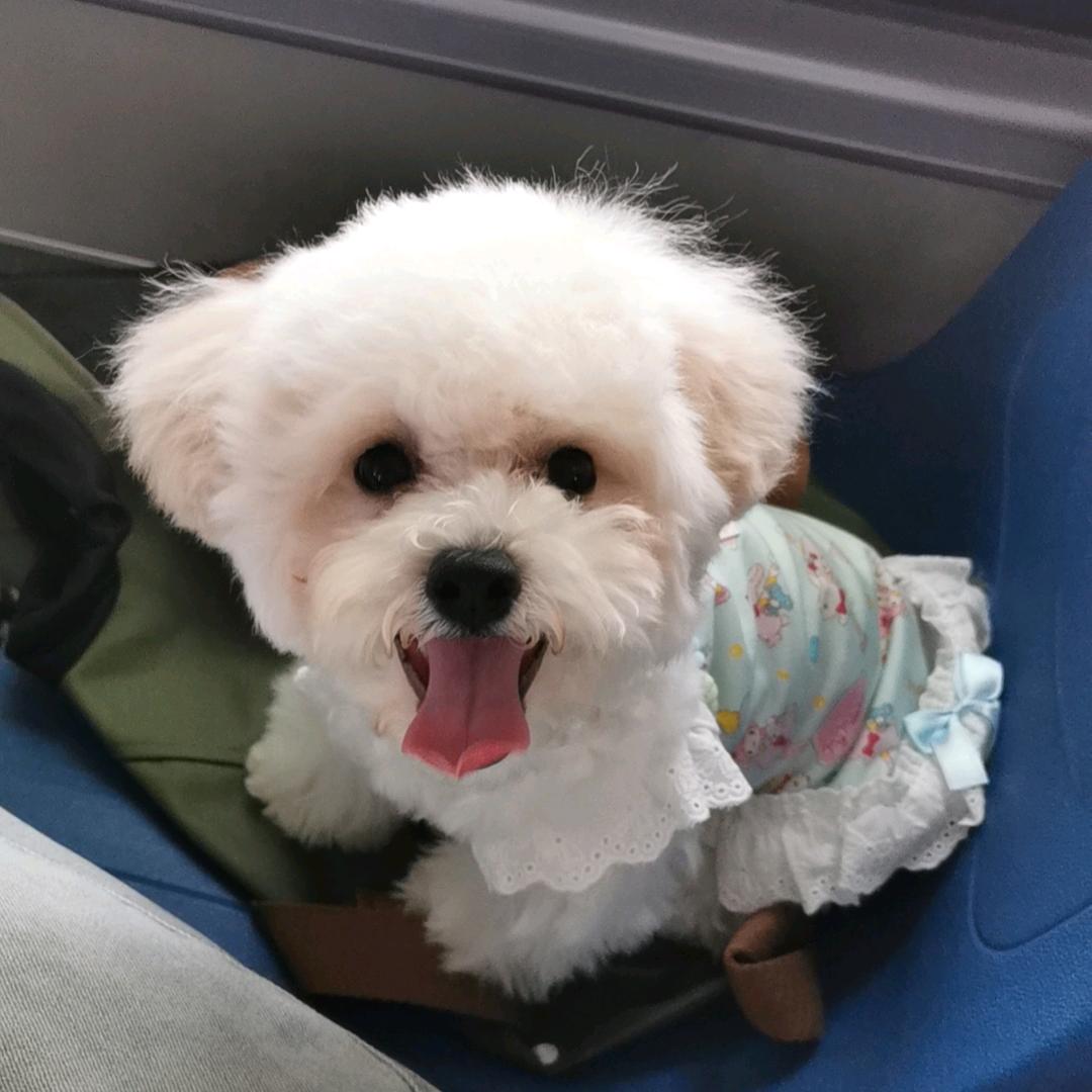 ❤️小郭汁
