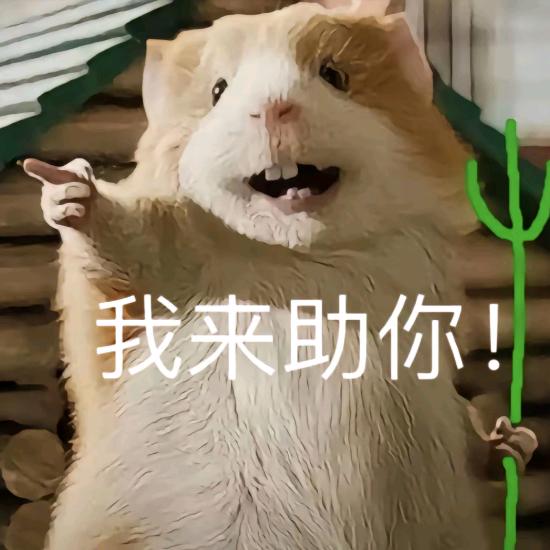 绍兴老六（超凡先锋）