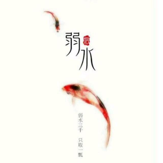 鱼儿水中游