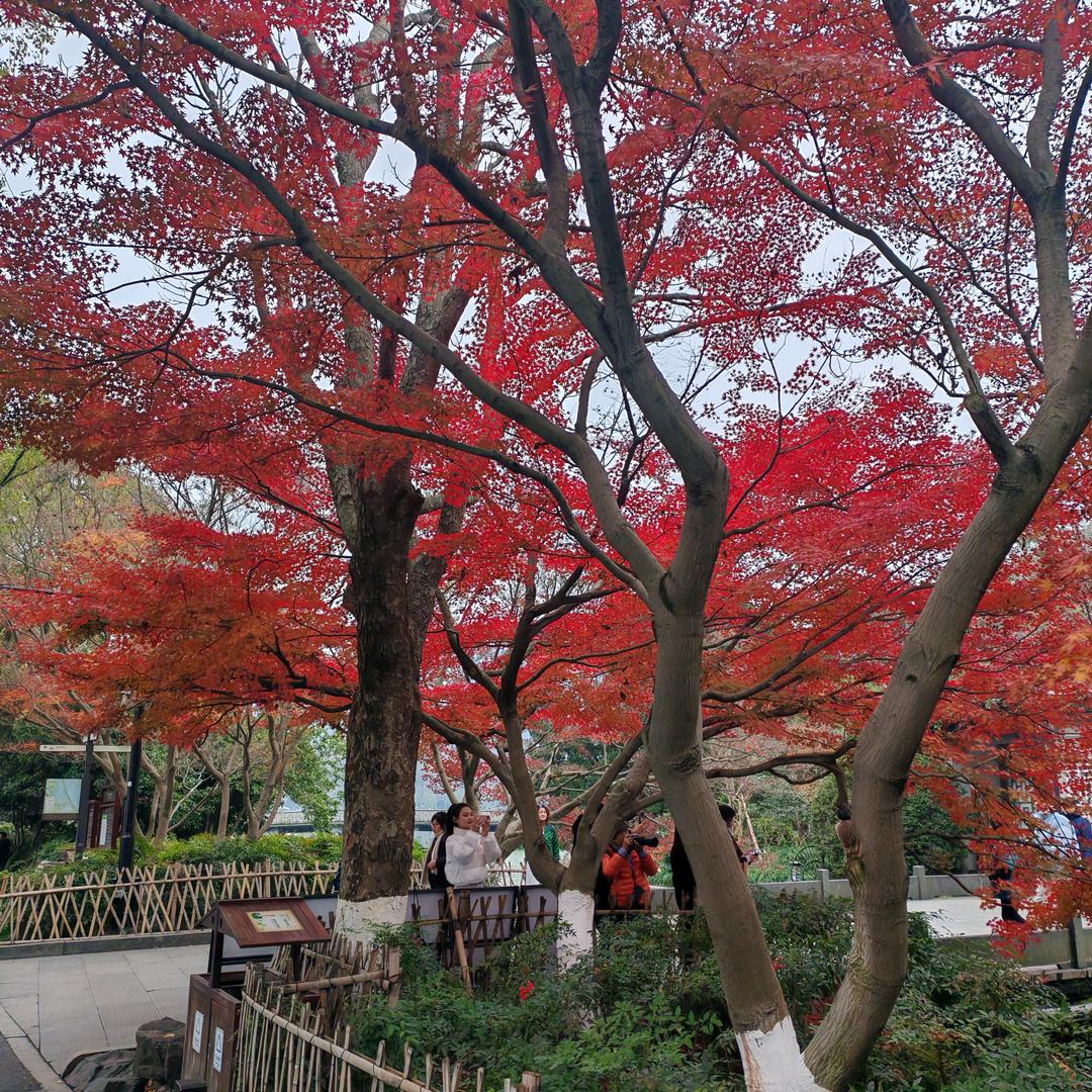 辉哥辽。。。。。。\辽