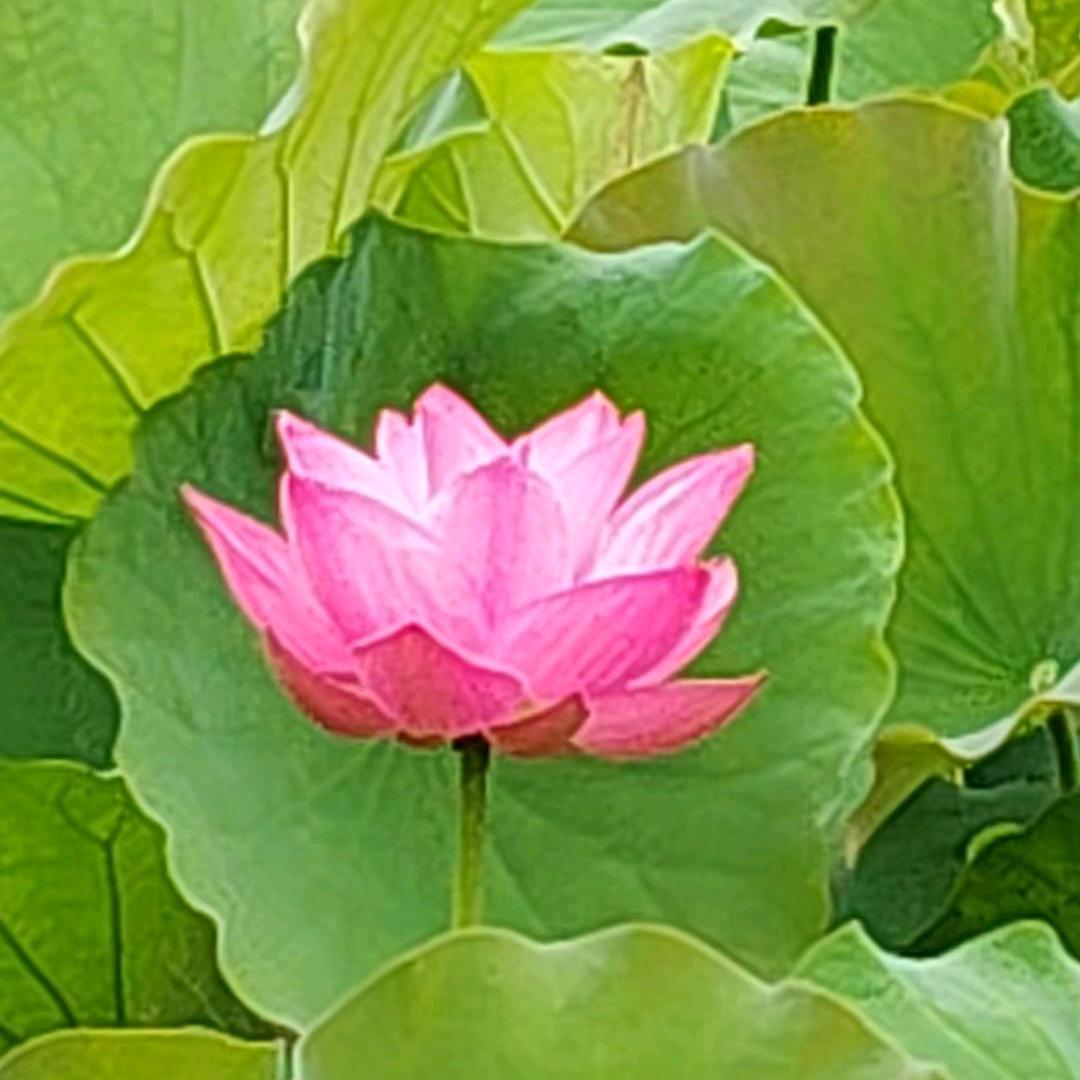 用户7693609016774王国森