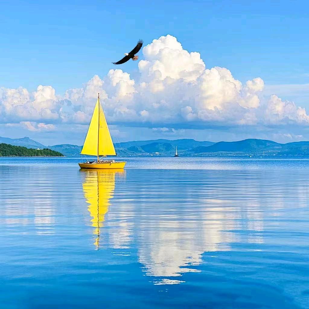 灰色国度🍷³⁶⁵