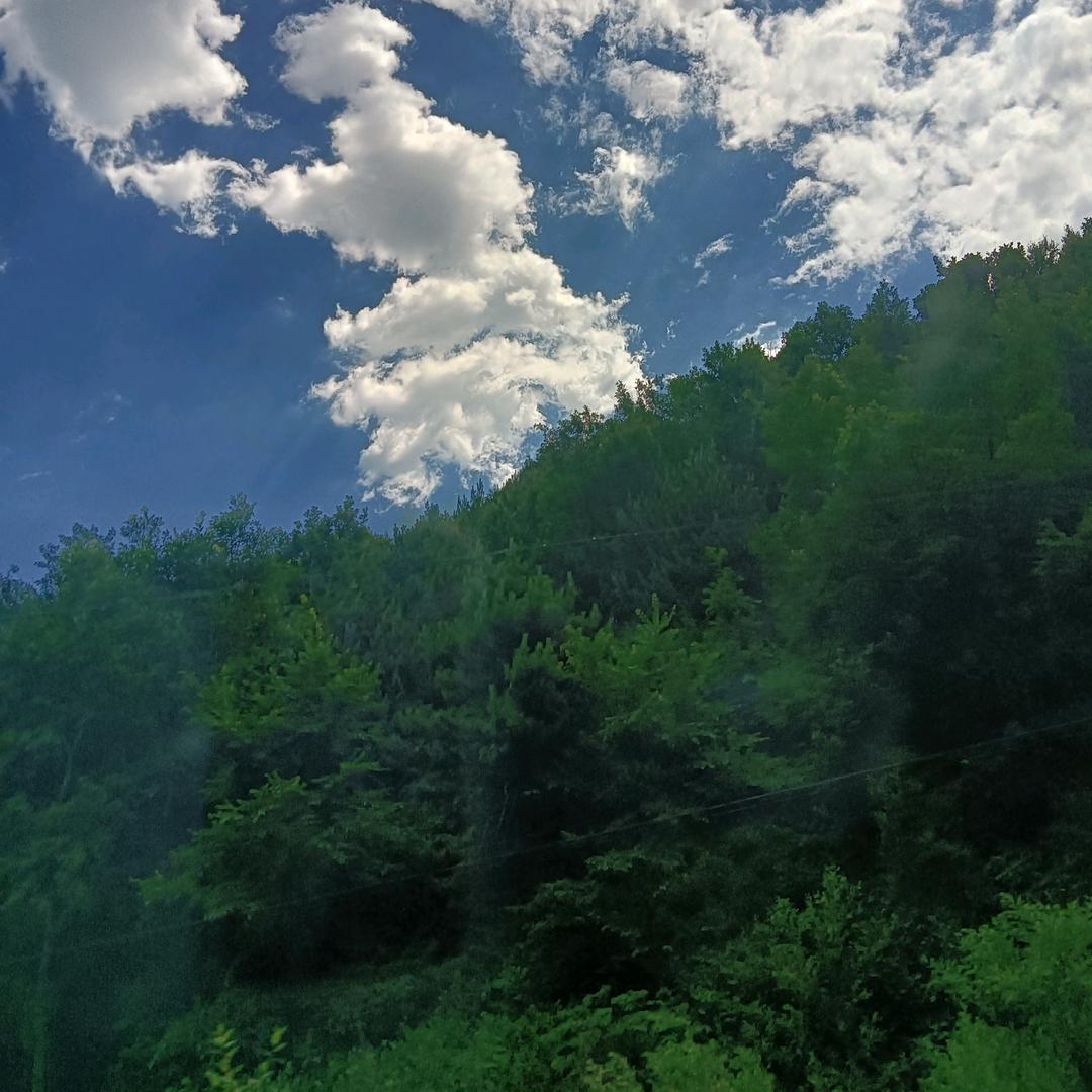 按摩师李晶晶