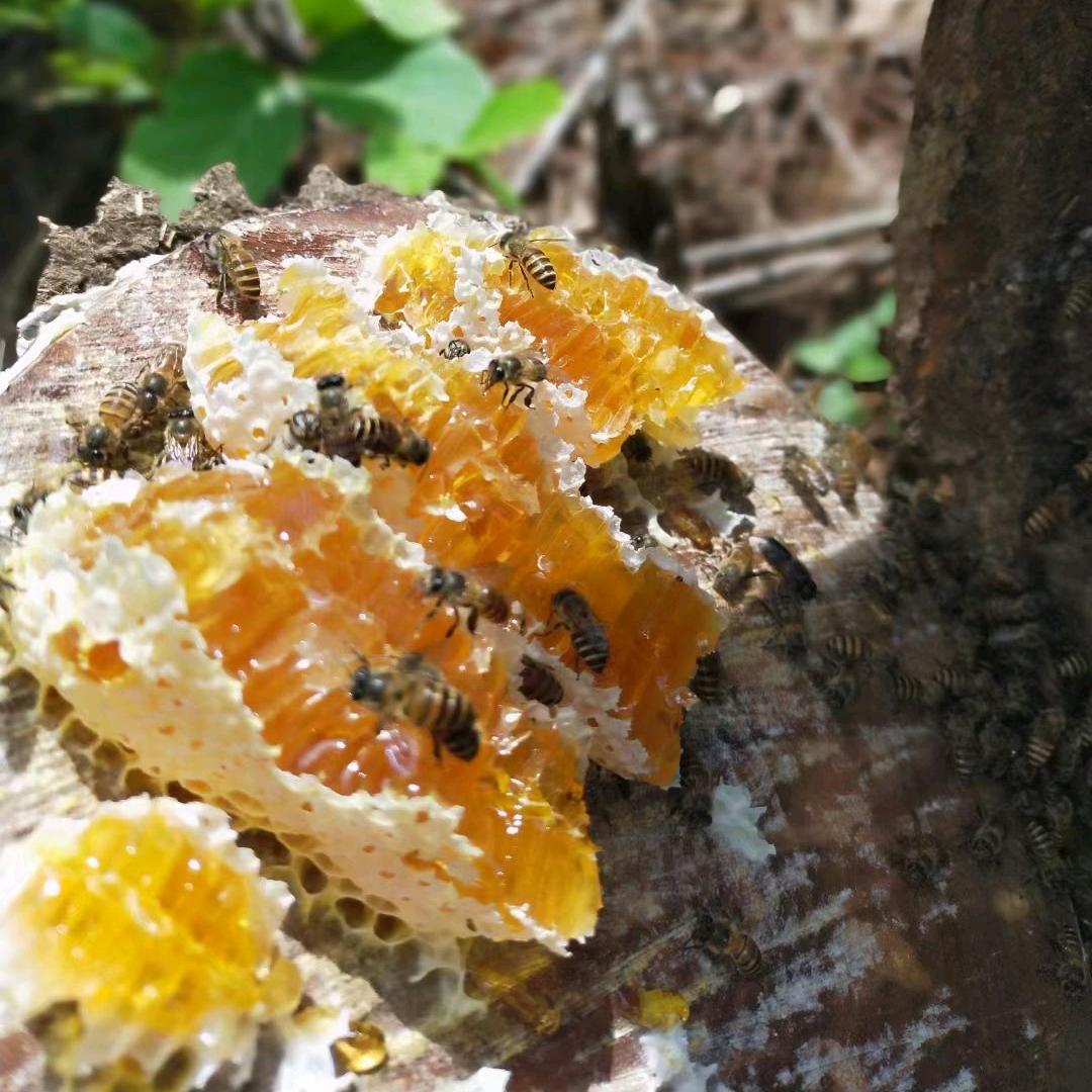 卖蜂蜜的小萍萍