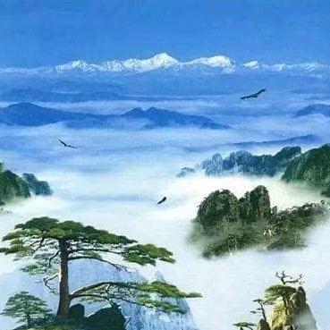 洹盾贸易精品市集