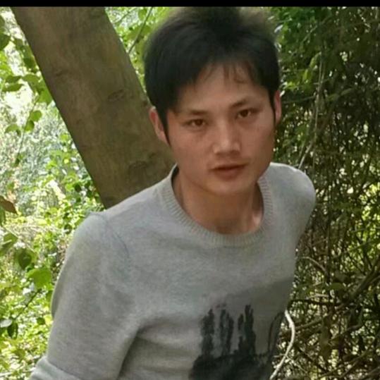 你若盛开，蝴蝶自来