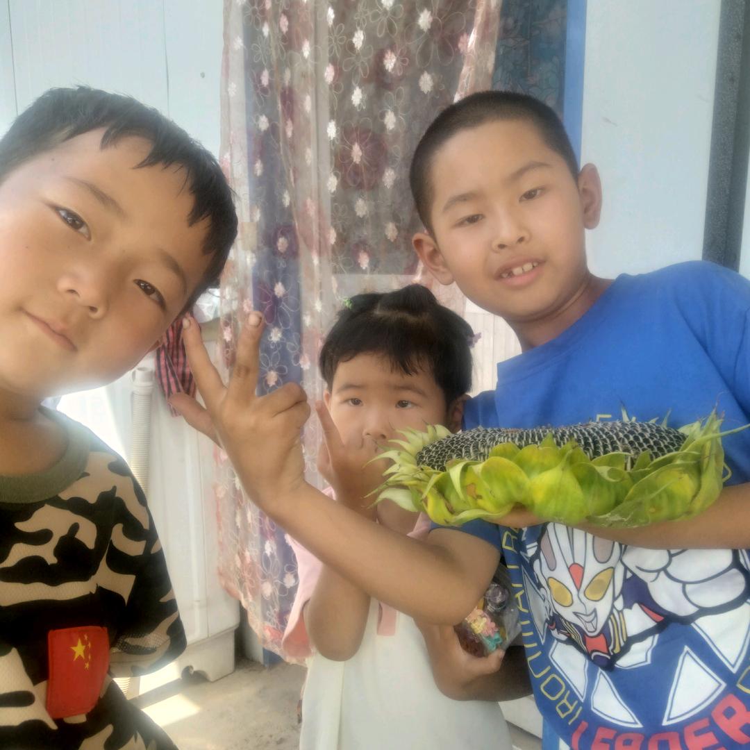 三羊开泰