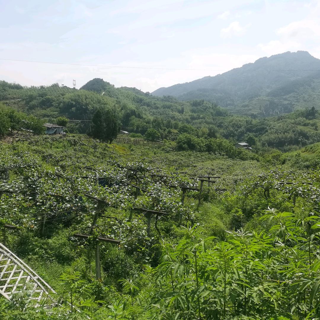 琳琳农品坊零售店优选