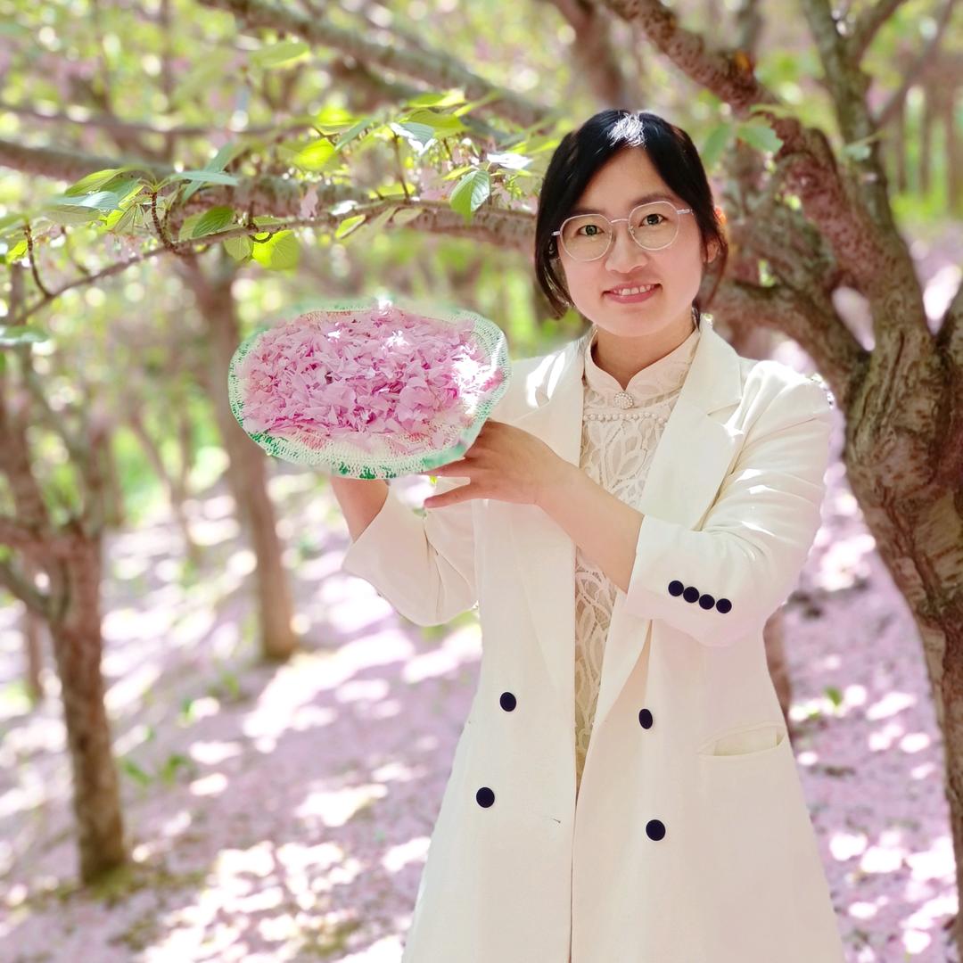 山东成人学历提升报名中心