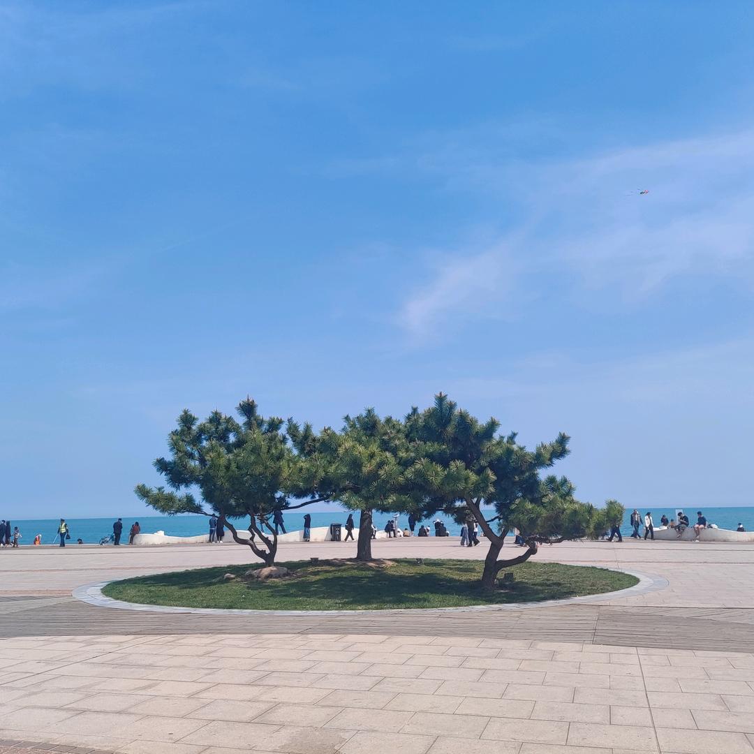 ζ成全了舍得。。。