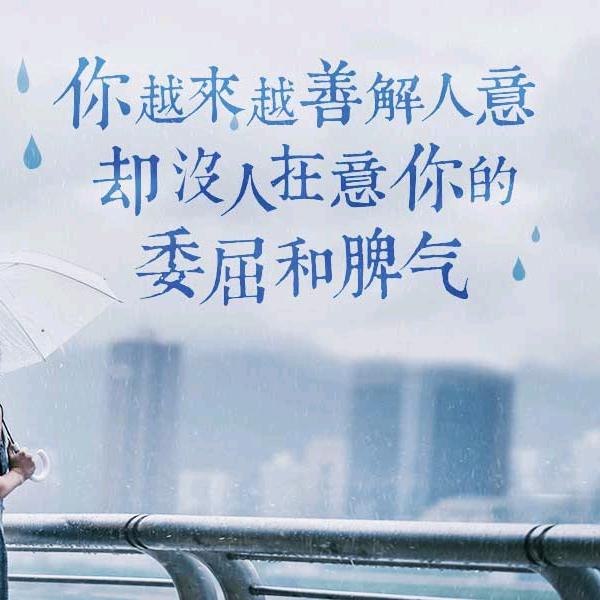 乌鸦笑猪黑帅
