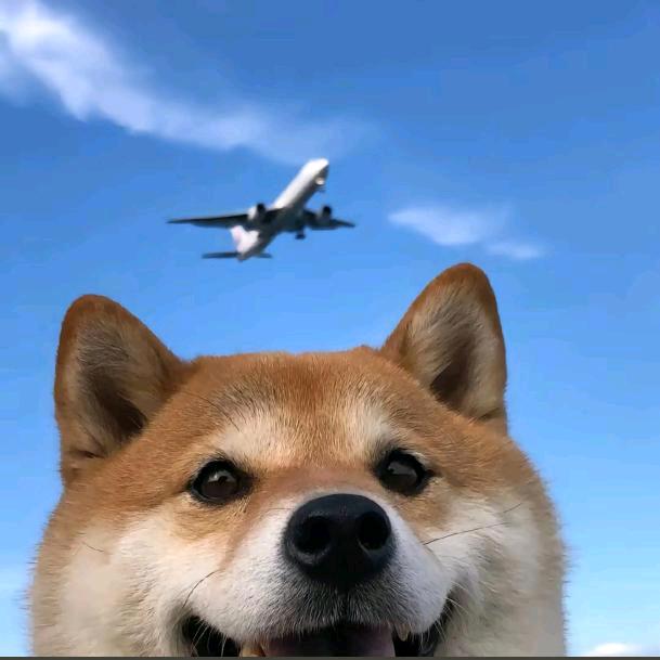 婲