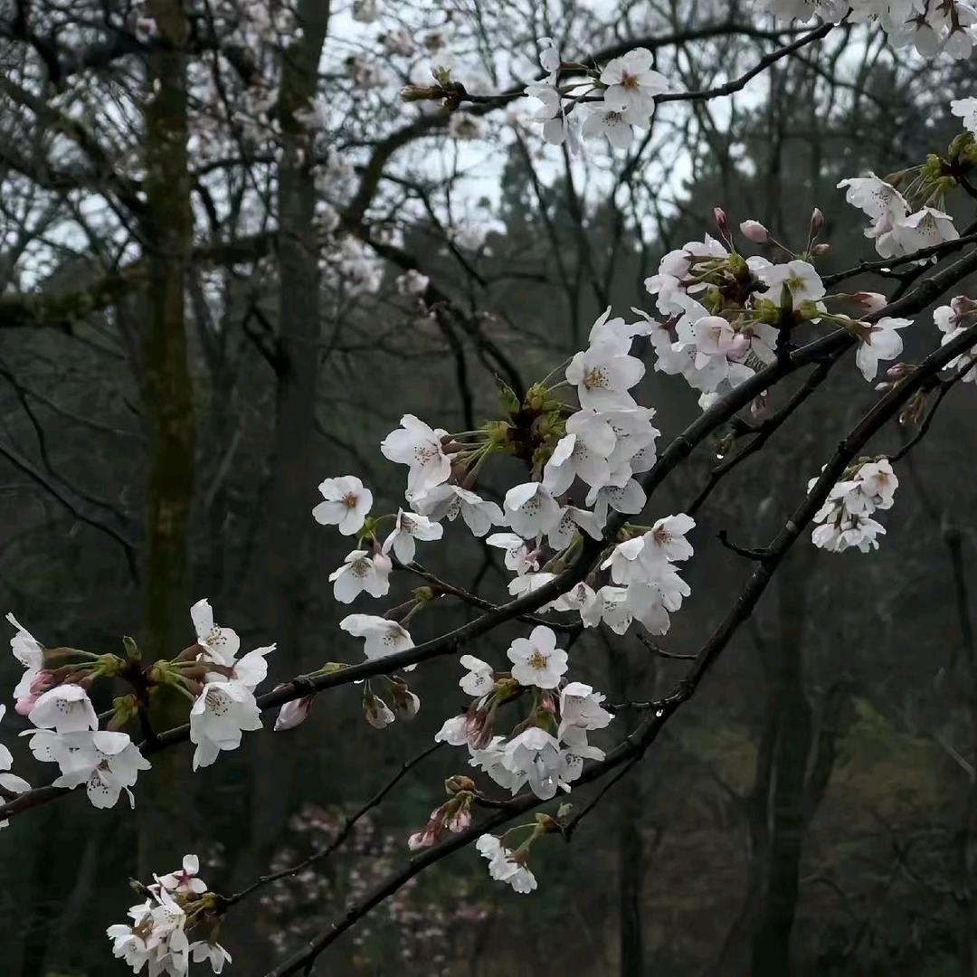 小雨吖吖时尚服装🤓