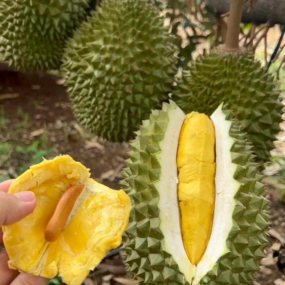 刘先生鲜果仓