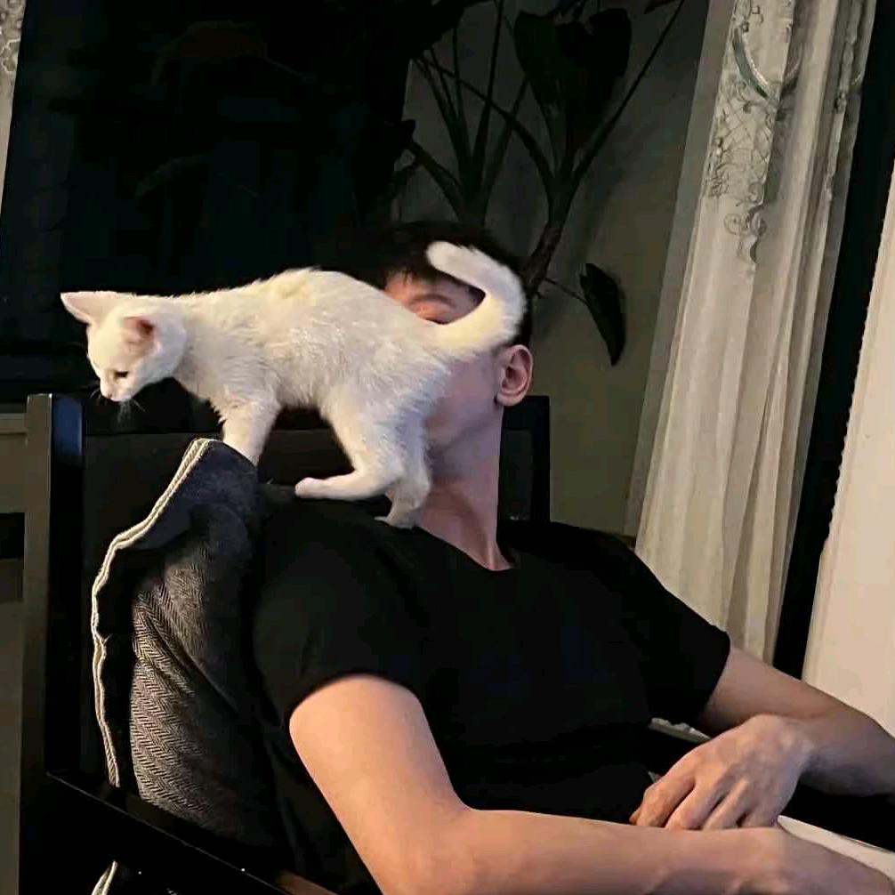 yyy
