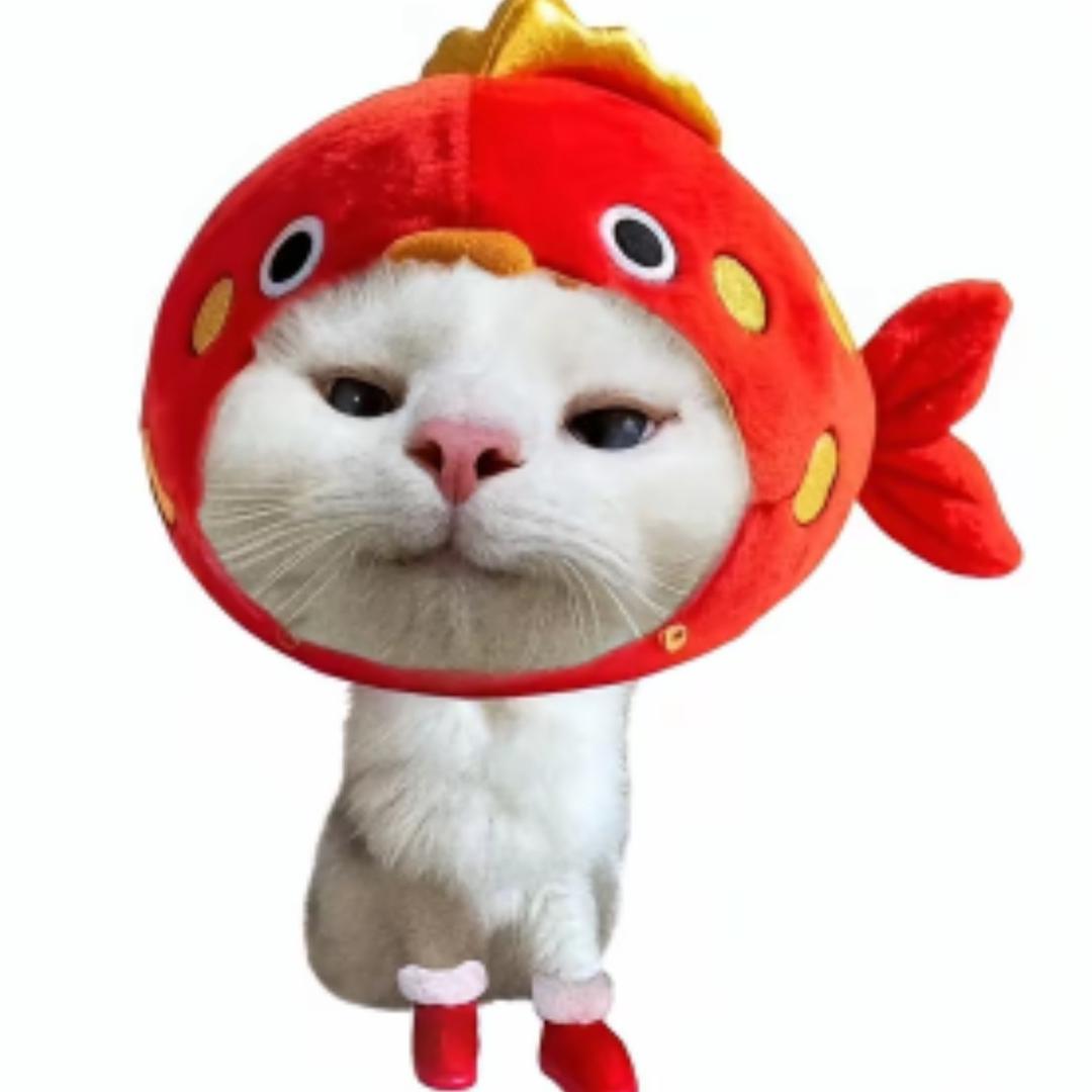 迟 遇✨