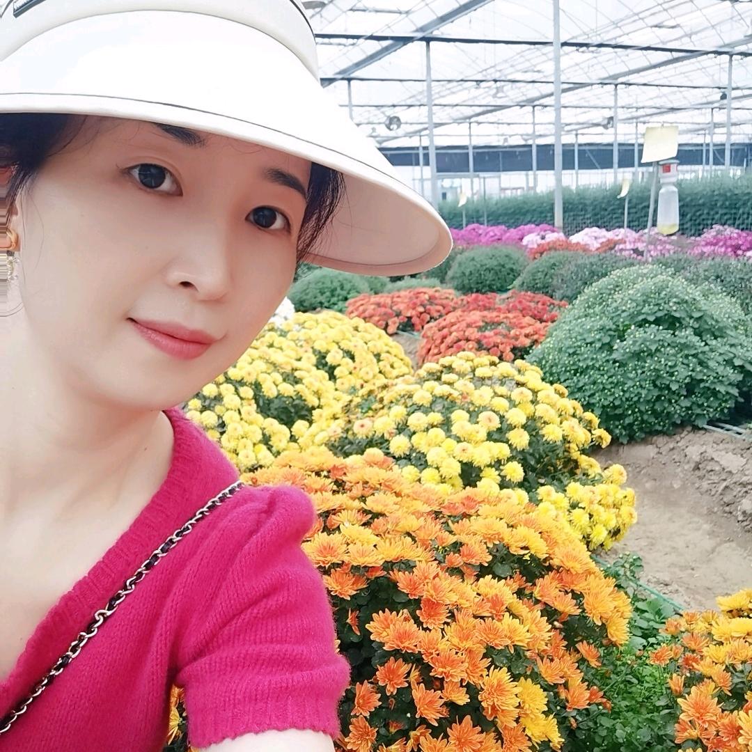 小鱼儿