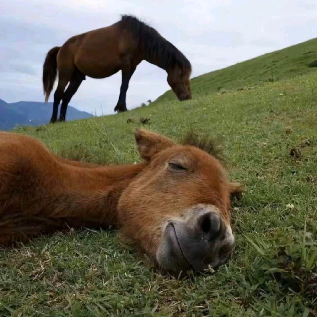 卓老板的小卖部