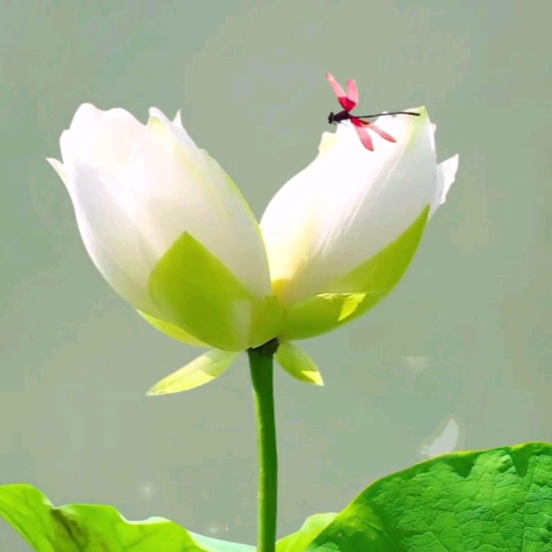 从头开始234