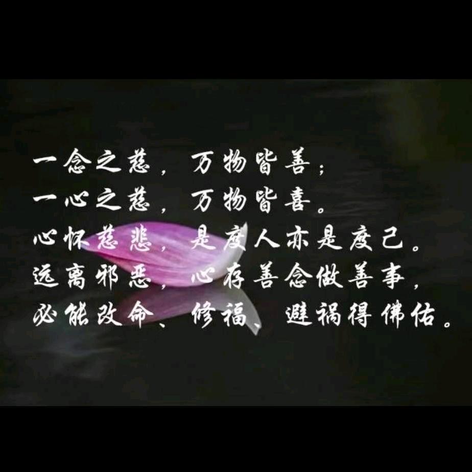 恋上香的味道