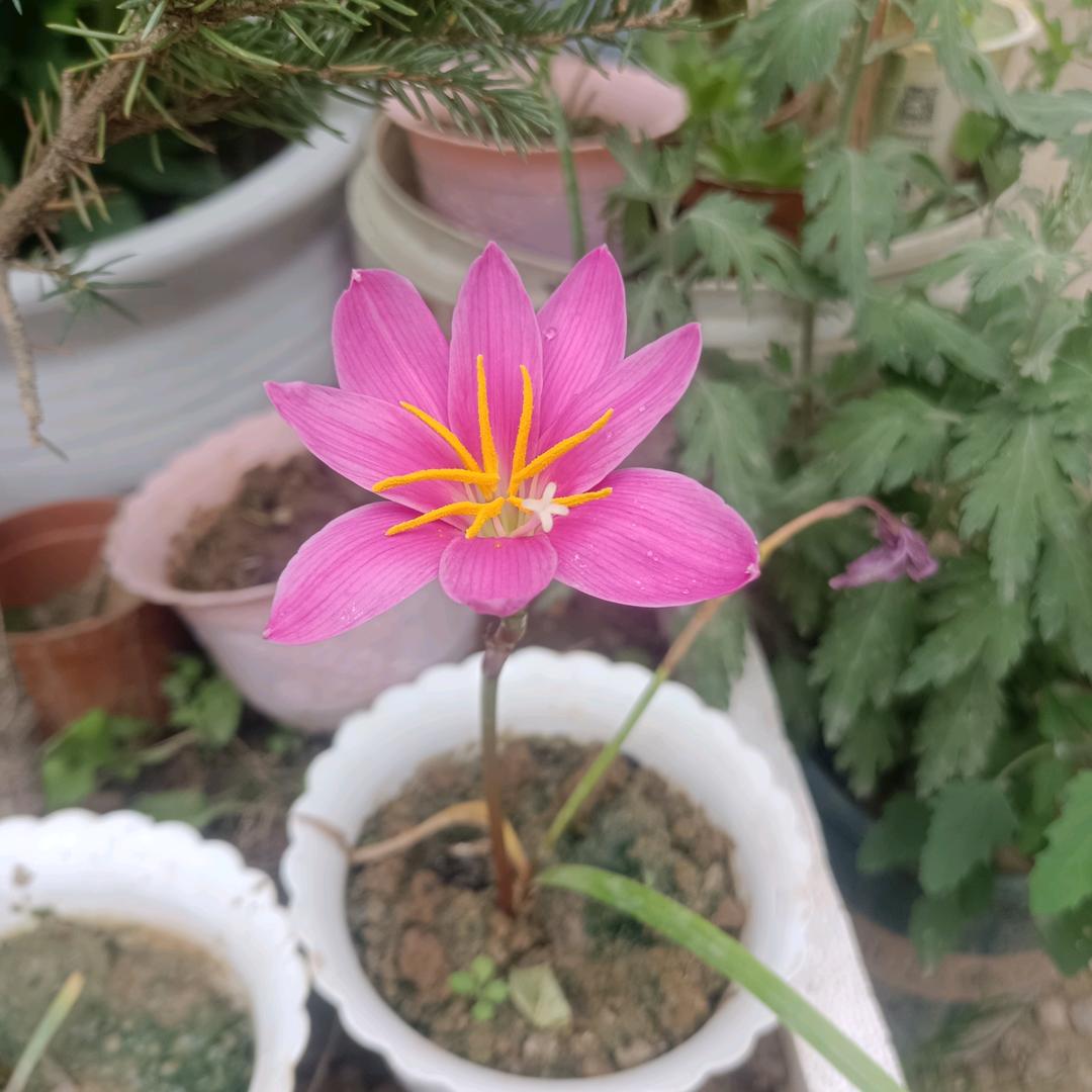 恨过也爱过此生不离