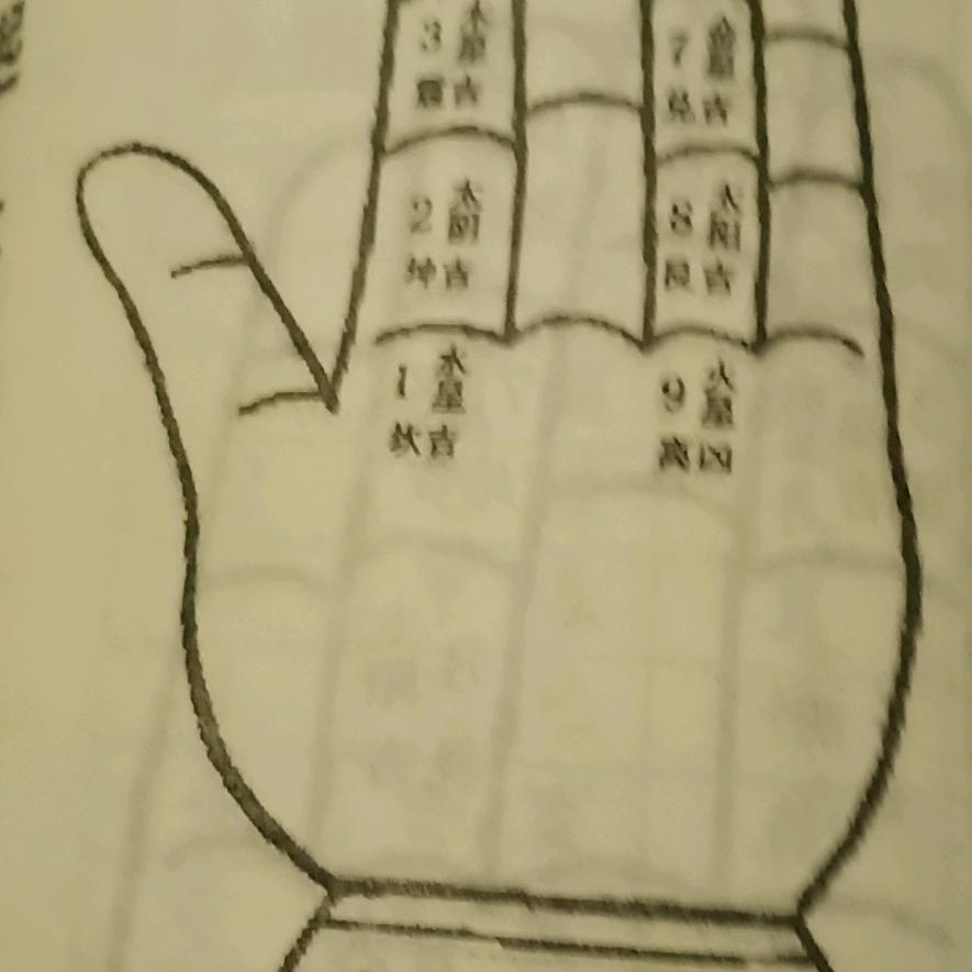 强哥...单身一辈子