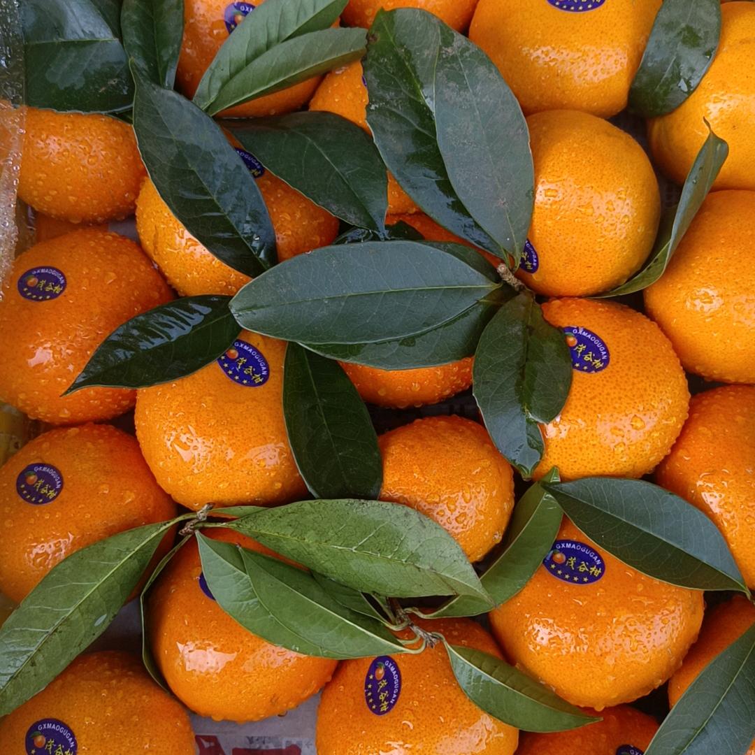 诚兴果品代销代购