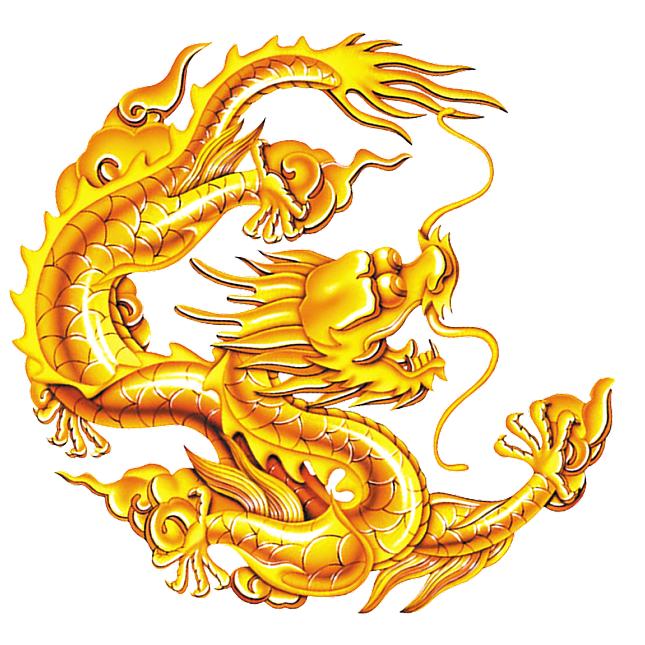 龙的传人