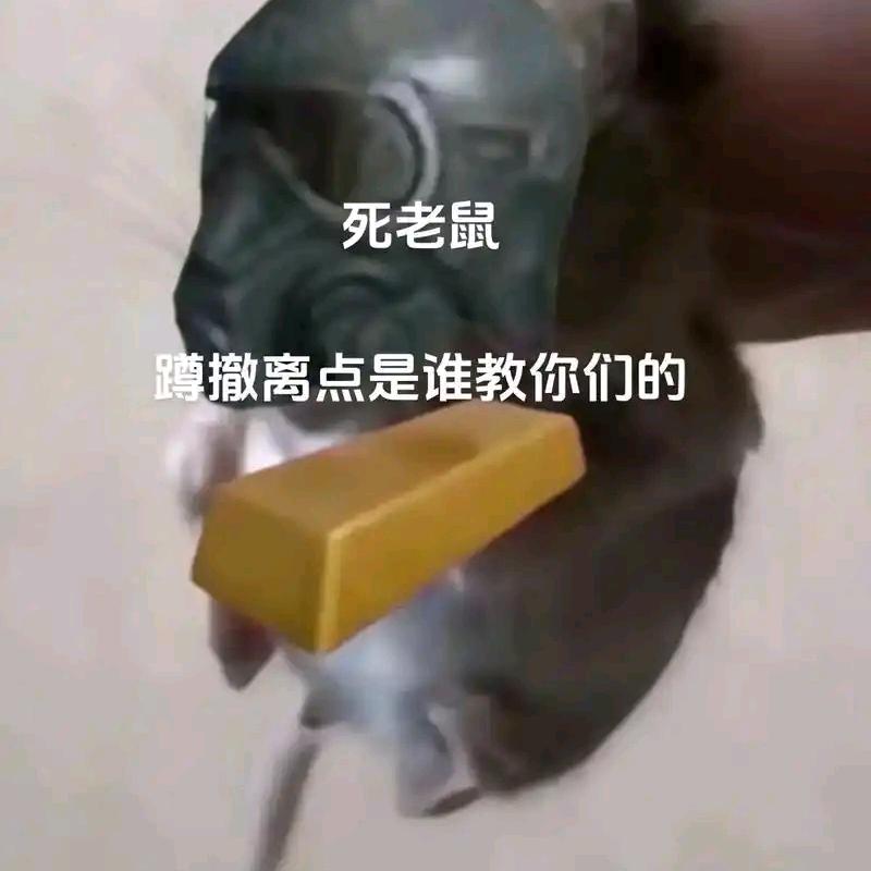 对影子说晚安