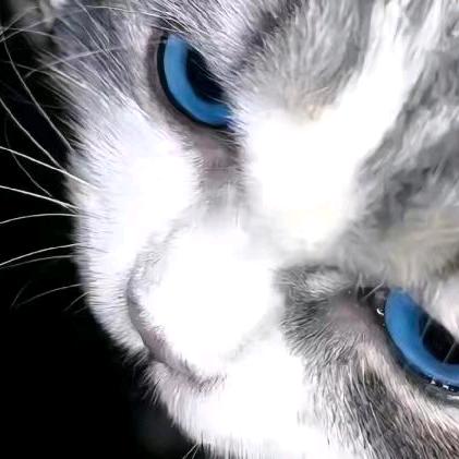 对方正在输入中......