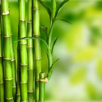 沂水秀丝顿💃嘉顿肯妮