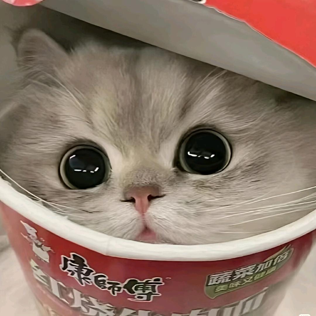甜星⭐