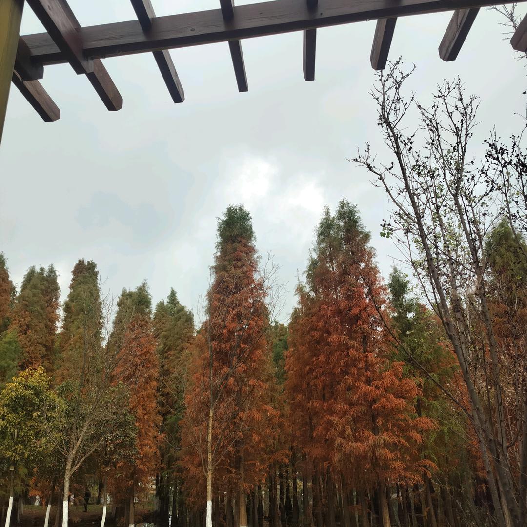 用户70894385511222冷冰冰