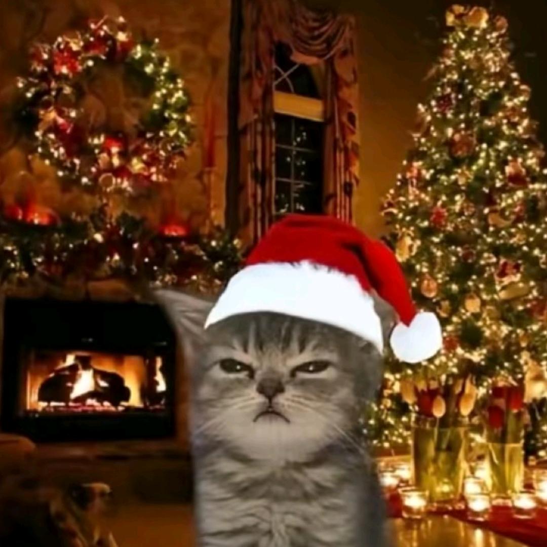 树（体育满分版）