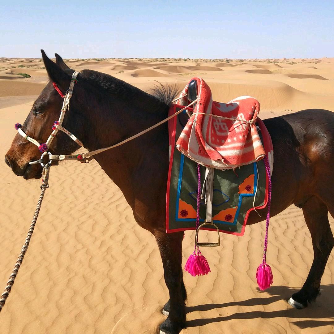 幸福快乐👩‍❤️‍👩