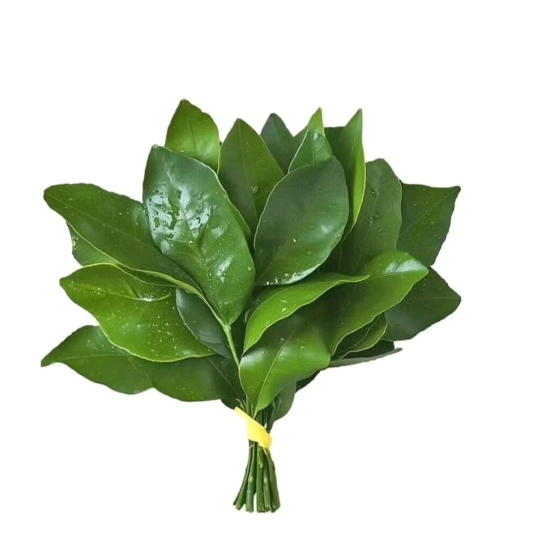 小米之家高水中央广场店（互粉版）