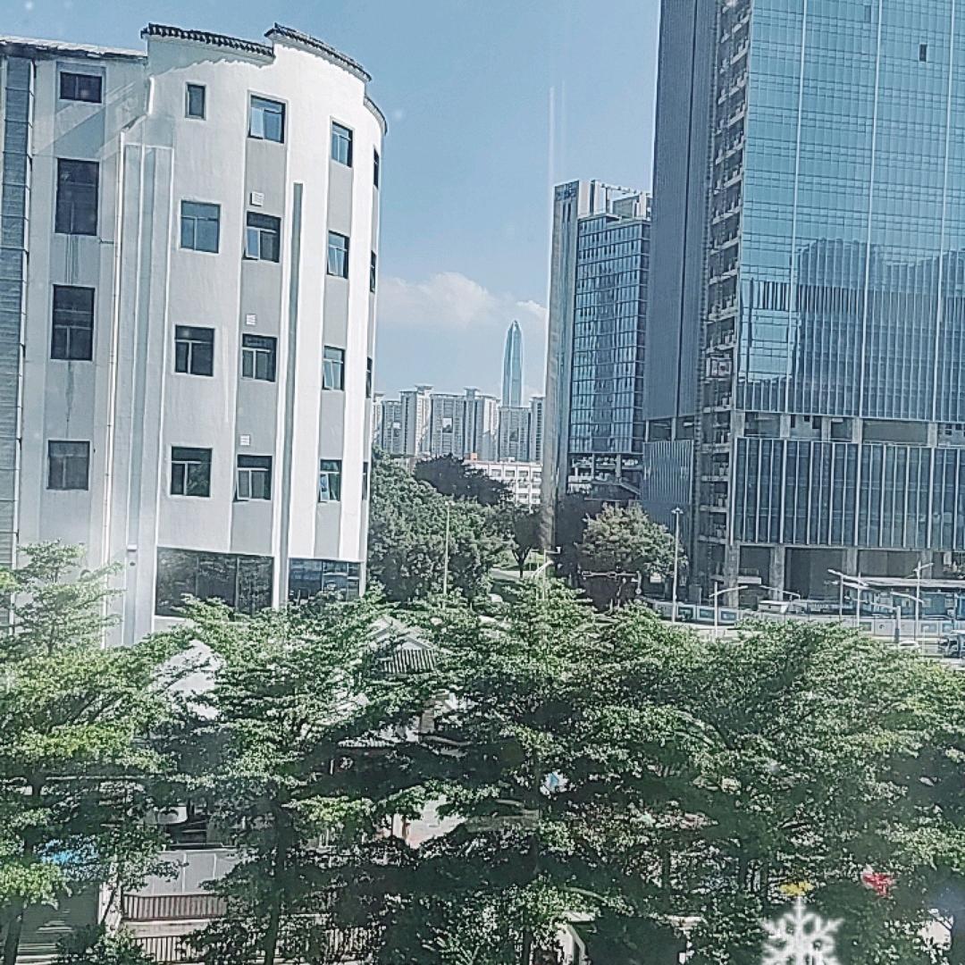 风景如画