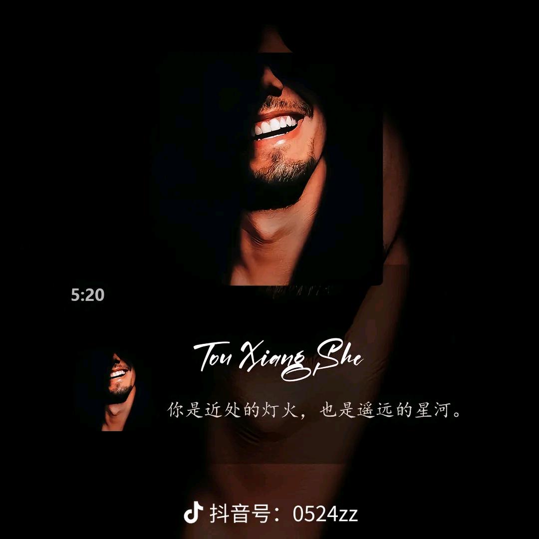 深情总是刘不住