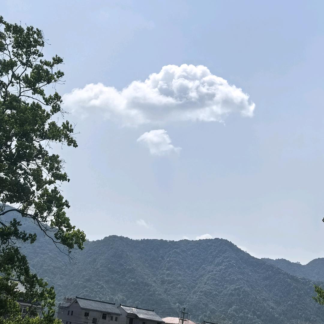 释,,,R