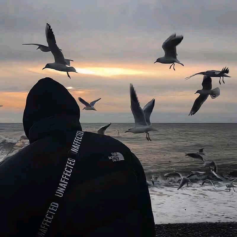 哈伦海尔