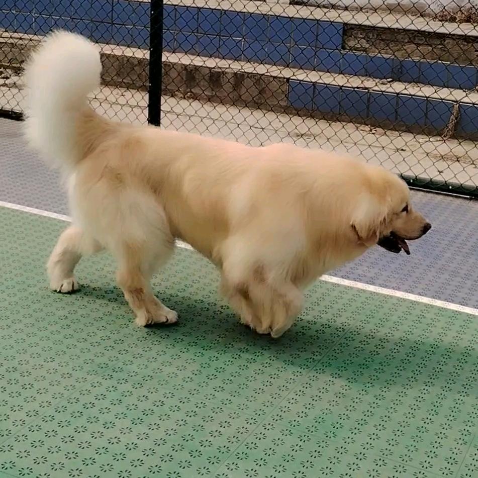 用户名72487956头像