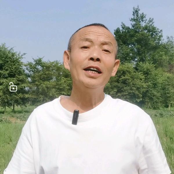 平哥