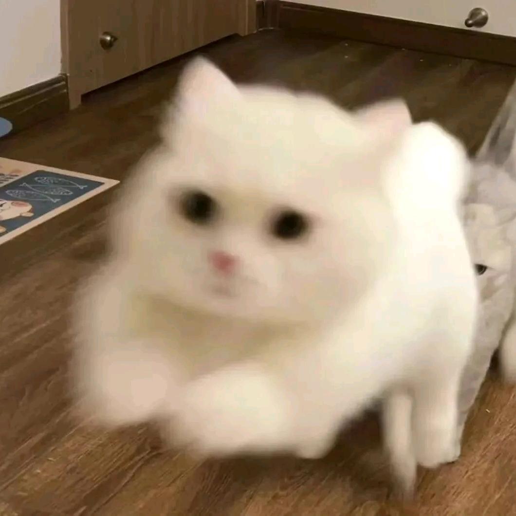 爱吃萝卜