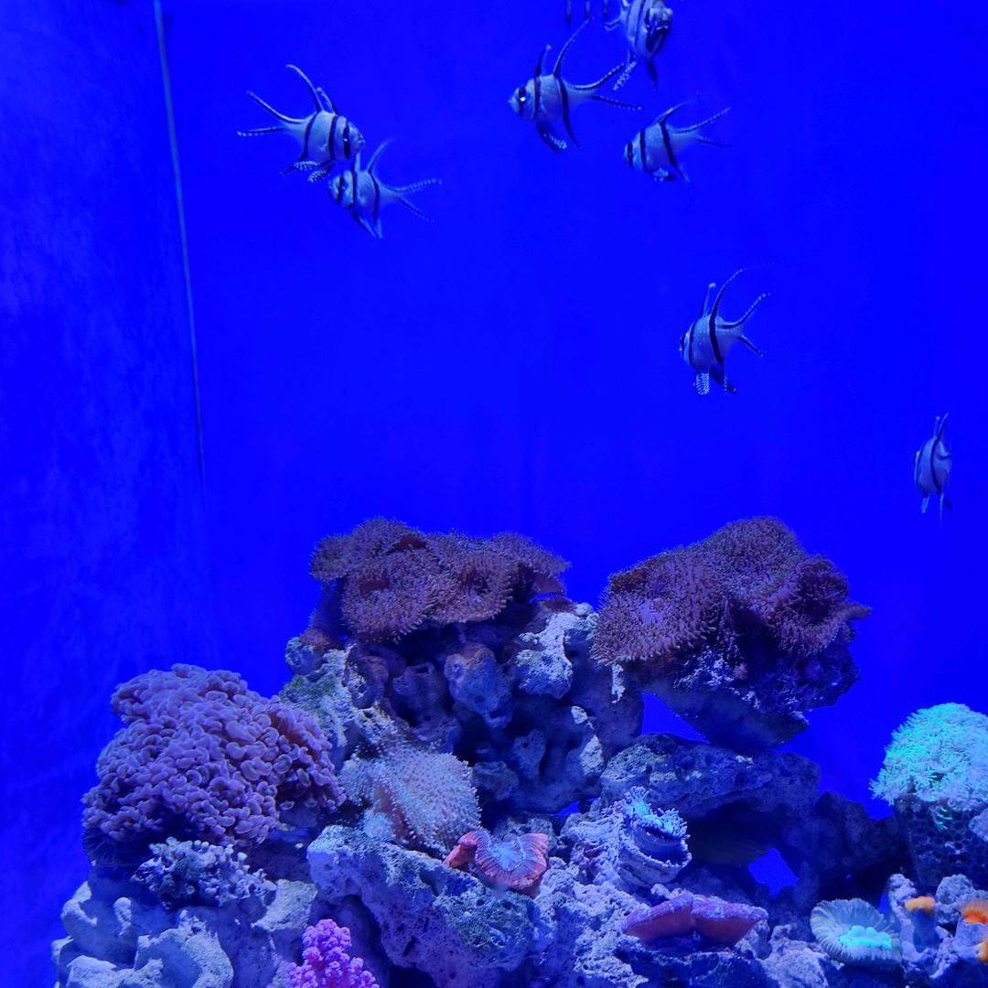 ❤️云水禅心❤️