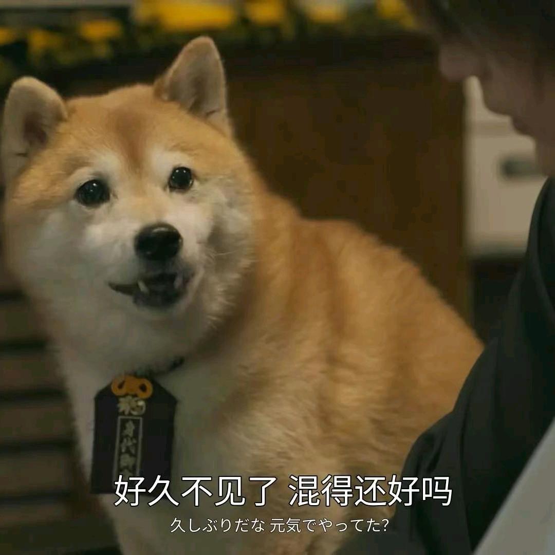 问心无愧